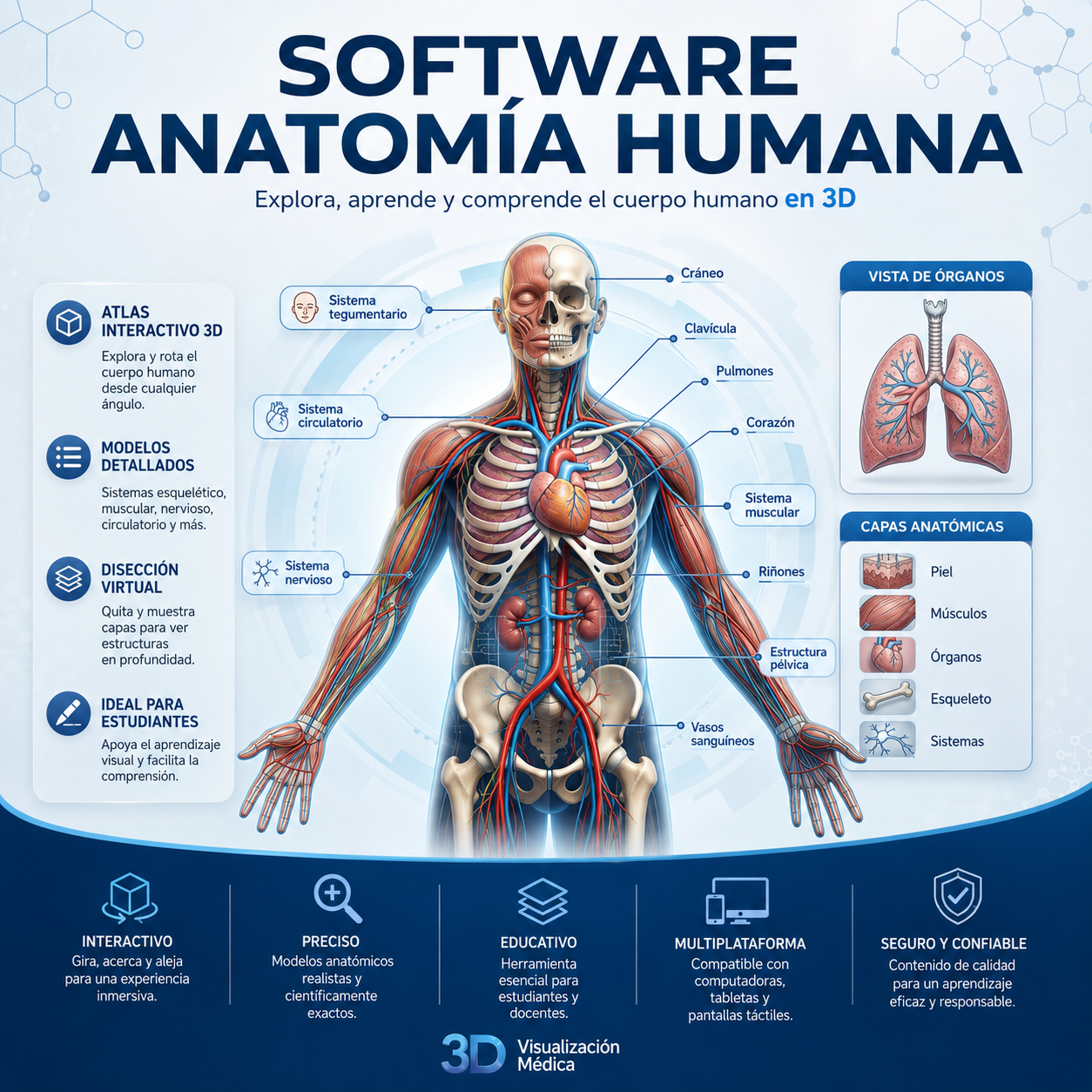 Revolución en el Aprendizaje: Por qué el Software de Anatomía Humana 3D es el Futuro (Desde Niños hasta Profesionales)
